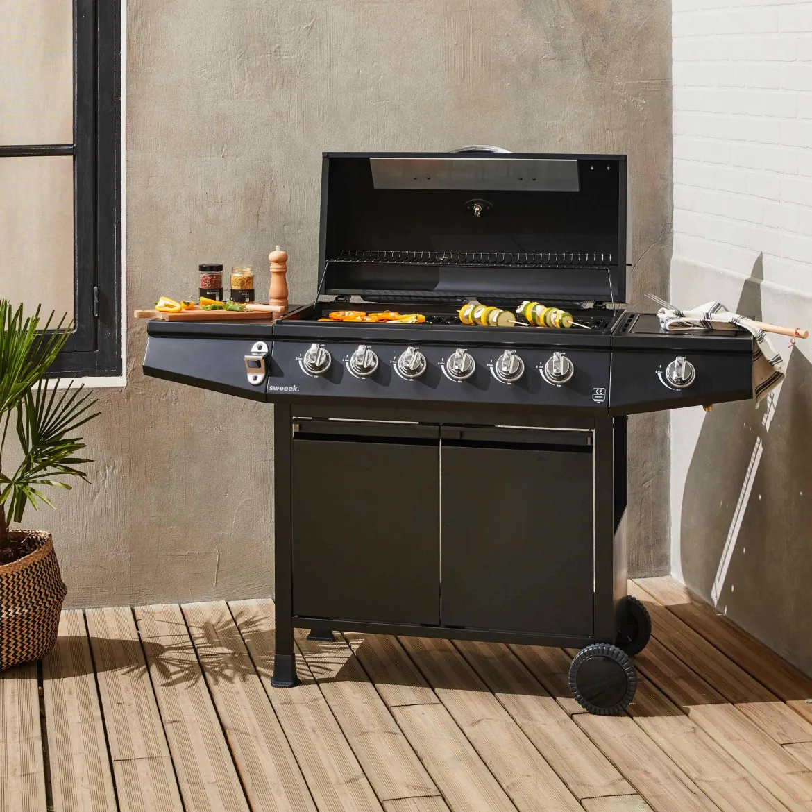 Barbecue a gas a 6 bruciatori con fuoco laterale