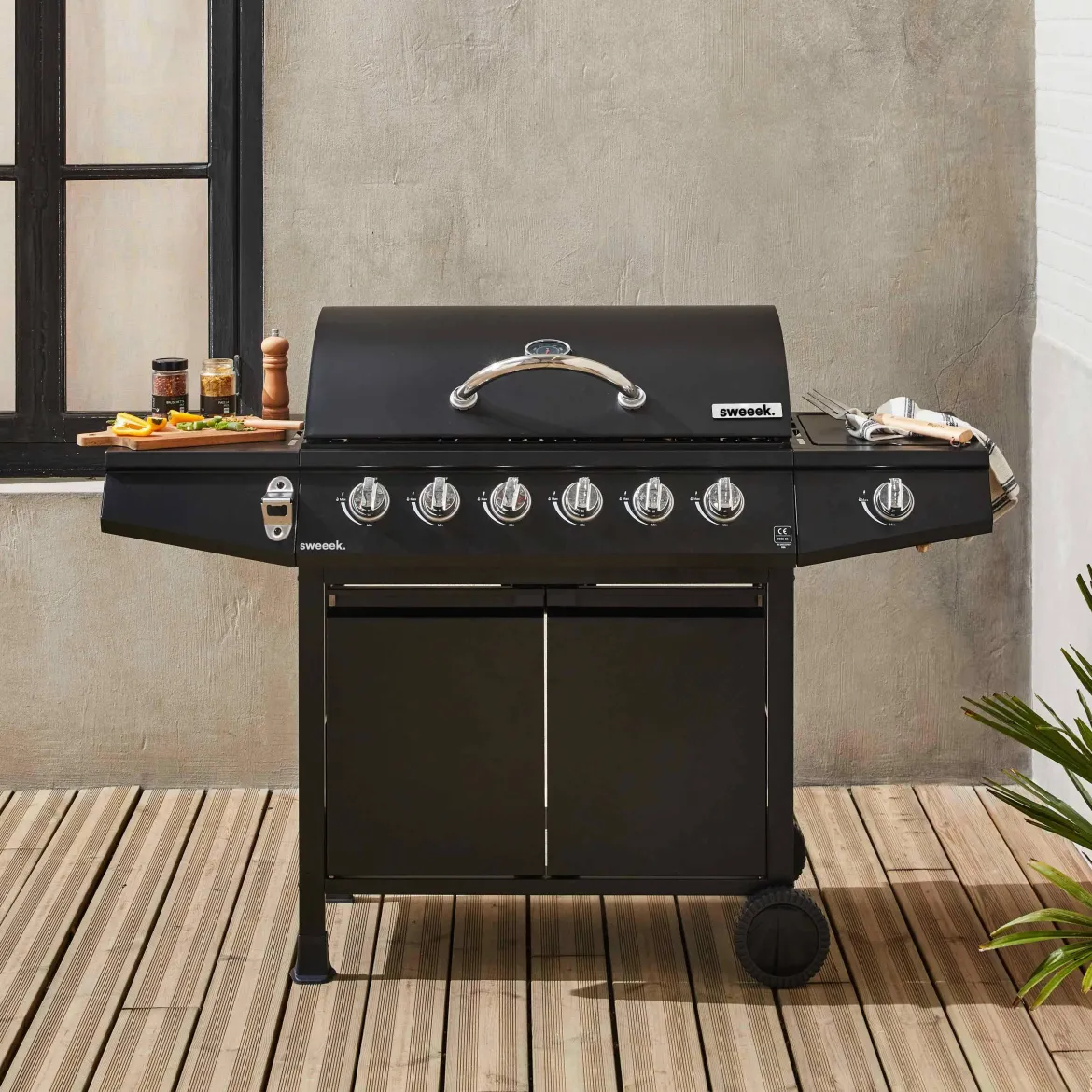 Barbecue a gas a 6 bruciatori con fuoco laterale