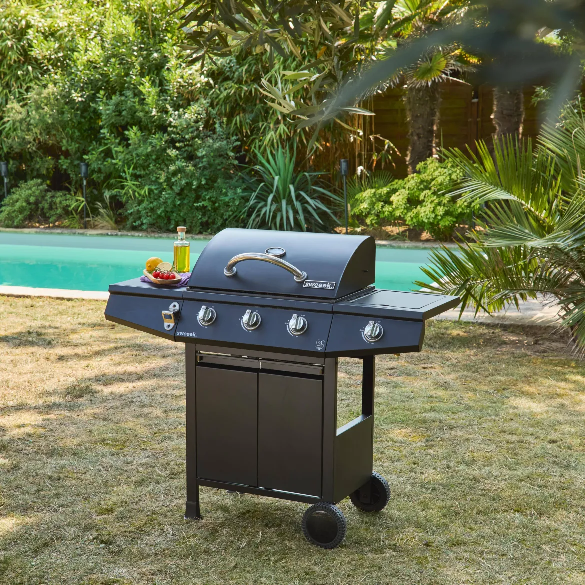 Barbecue a gas con 3 bruciatori e 1 bruciatore laterale