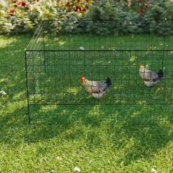 Kit di recinzione in rete modulare per galline
