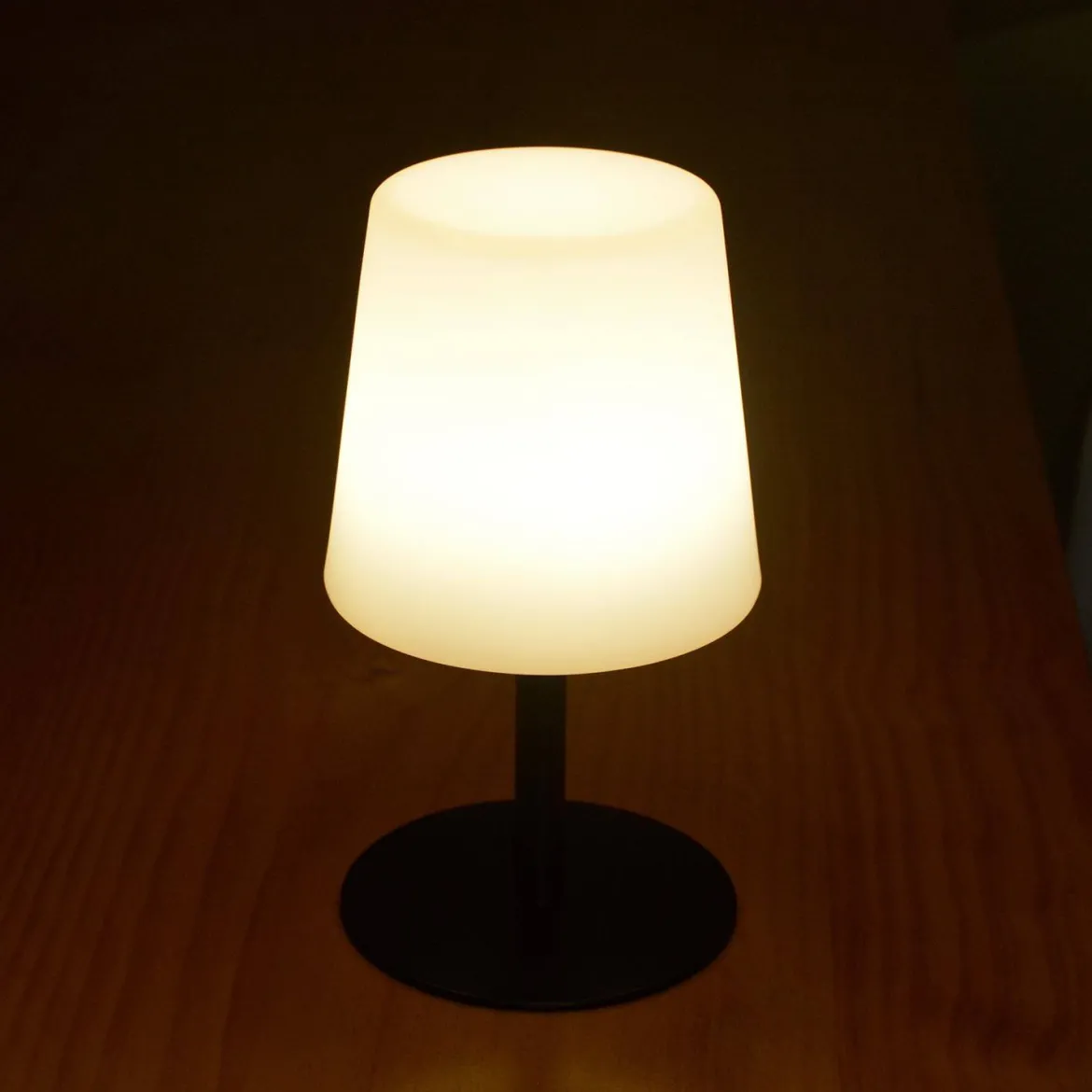Lampada da tavolo a LED per interni/esterni 16cm