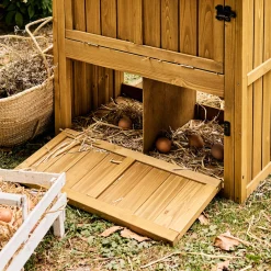 Pollaio 6 galline legno di abete