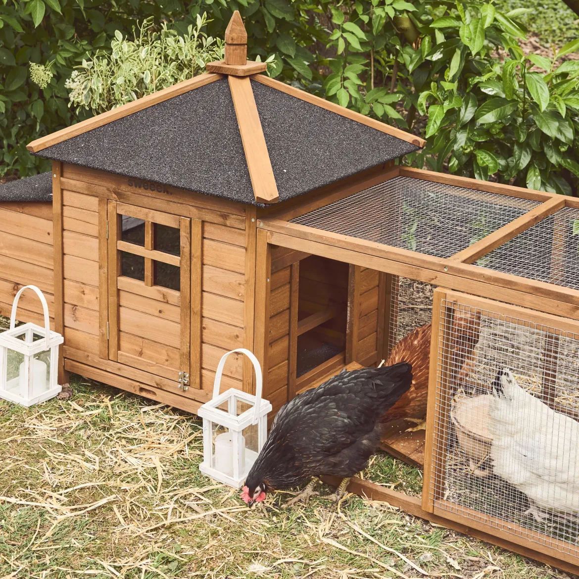 Pollaio in legno con recinto per 2 galline