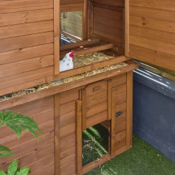 Pollaio in legno con recinto per 6-8 galline