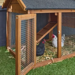 Pollaio in legno con recinto per 3 galline