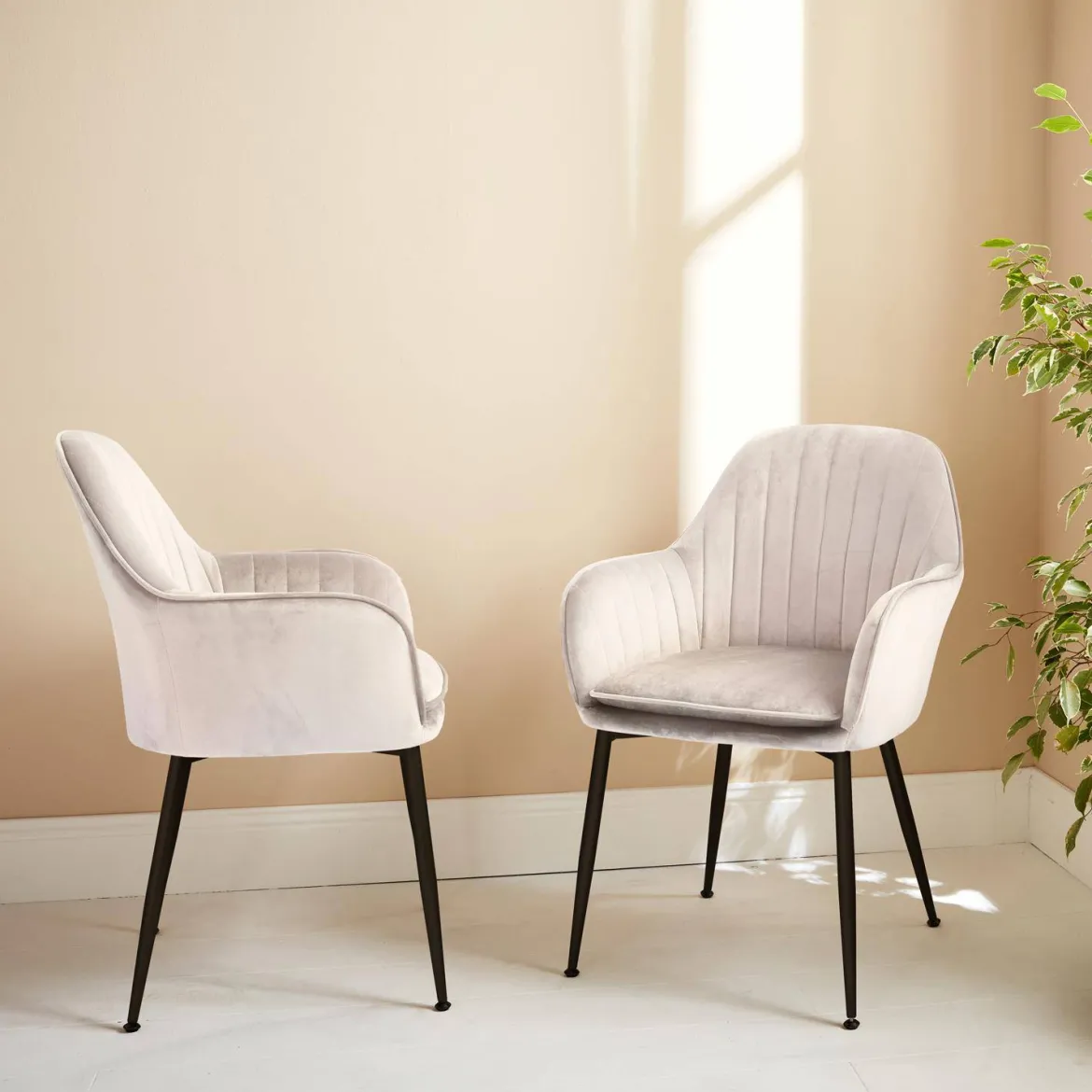 Set 2 poltrone in velluto con gambe in metallo